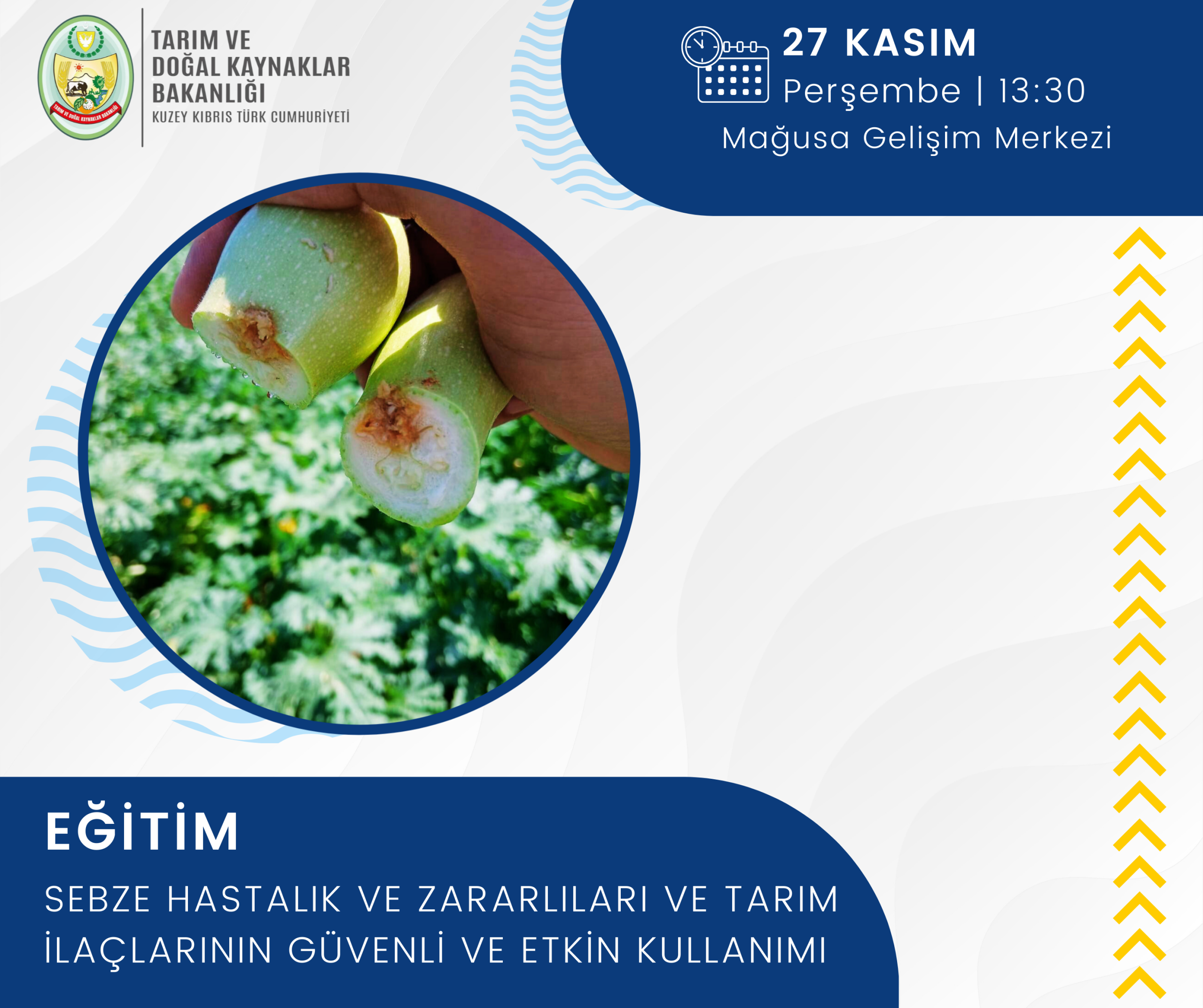 Tarım Bakanlığı üreticiler için eğitim düzenliyor