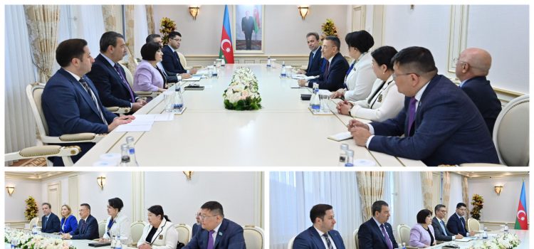 Öztürk, Azeraycan Milli Meclisi Başkanı Gafarova tarafından kabul edildi